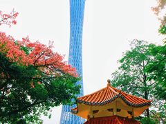 -海心沙亚运公园
