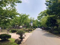 -旺山·浪头人家