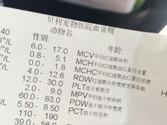 -贝利宠物医院·骨科·眼科·肿瘤转诊中心(南坪诊疗中心)