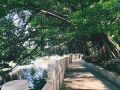 -西湖公园(鼓楼区)