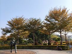 -白鹭洲公园