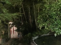 -江南天池高山汤泉城