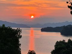 -逸廊大堂吧-下午茶·简餐-千岛湖自由洲际殿