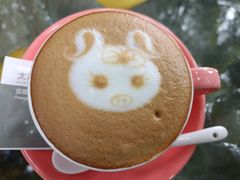 -猪圈咖啡