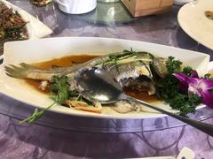 -潮锅(西村财富公馆店)