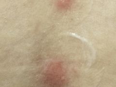 -泰禾馨·泰式按摩精油SPA(河西万达店)