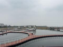 -贡湖湾湿地公园