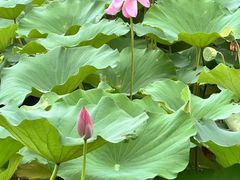 -宜兴龙背山森林公园