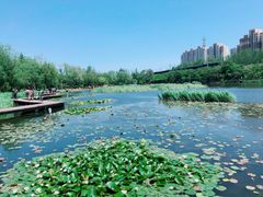 -前关湿地公园
