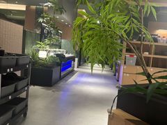 -芸山季·云南山珍菌火锅(南翔印象城MEGA店)