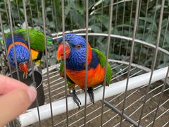 -南宫五洲植物乐园