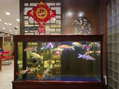 门面-庐州太太(鼓楼店)