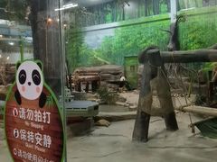 -灵玲国际马戏城