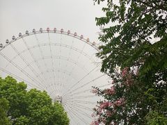 -蠡湖大桥公园