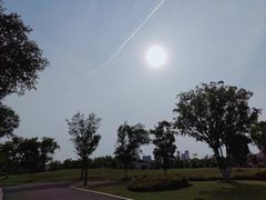 -盘龙城国家考古遗址公园