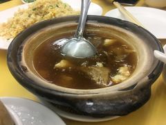 鱼翅-义福巷鱼翅燕窝