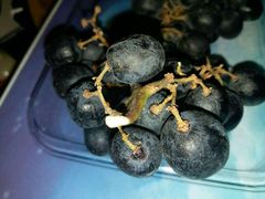 -百果园PAGODA(应元路店)