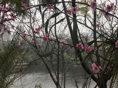 -重庆彩云湖湿地公园
