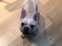 -Meowの猫咖(万家丽店)