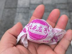 -泮溪酒家(荔枝湾店)