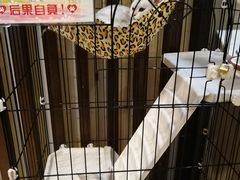 -津菜宋记老房子(鼓楼店)