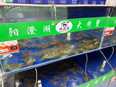 -阳澄湖大闸蟹·琼灵阁牌品牌连锁(吴中总店)