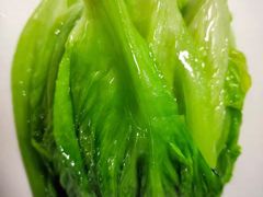 -彩丰楼中餐厅·早茶·点心·粤菜(海口华彩洲际酒店)