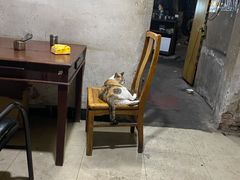 -安庆柴火馄饨(马道街店)