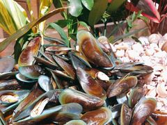 -广州增城保利郡雅酒店-月色西餐厅