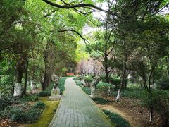 -白马涧龙池景区