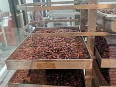 -Belice Chocolate Kingdom