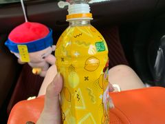-小李子油焖大虾向阳总店