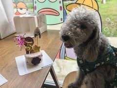 -小意思咖啡店(草桥店)