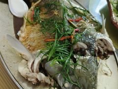 -罗浮山·罗园农庄