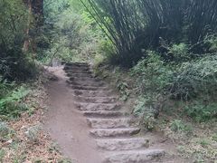 -卡定沟景区