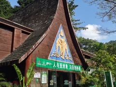 -野象谷景区