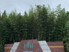 -日照海滨国家森林公园