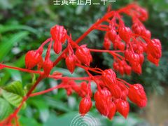 -青青世界
