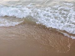 -玫瑰海岸文化旅游度假区