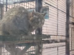 -青藏高原野生动物园