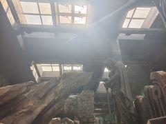 -哈尔滨波塞冬海底世界