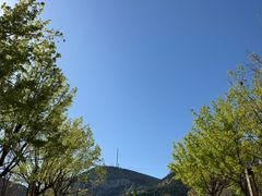 -佛慧山