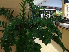 -湛江鑫海名城(鑫海华庭店)