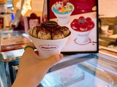 -哈根达斯(龙湖时代天街店)