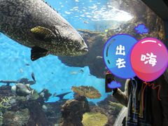 -鹿儿岛水族馆