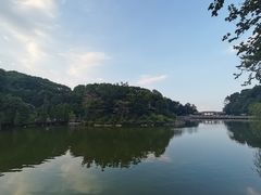 -广州市帽峰山景区