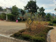 -美的鹭湖森林度假区