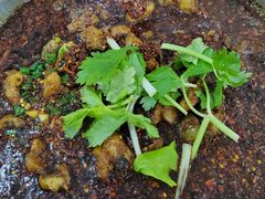 -温江公平红烧兔(总店)