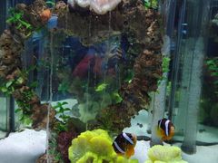 -太平洋海底世界