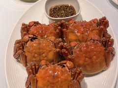 -阿五黄河大鲤鱼(纬三路店)